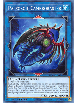 Paleozoic Cambroraster - LIOV-EN047 - Common