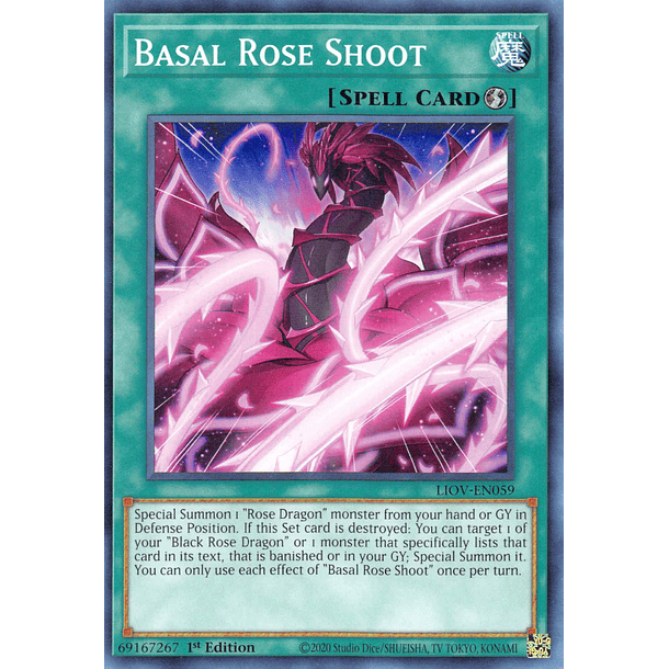 Basal Rose Shoot - LIOV-EN059 - Common