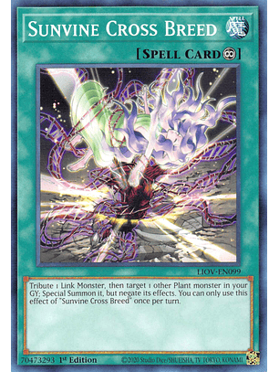 Sunvine Cross Breed - LIOV-EN099 - Common