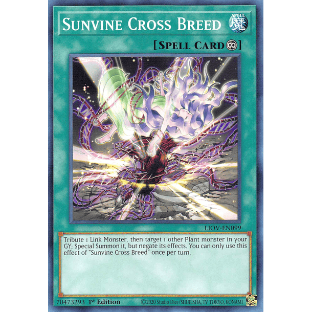 Sunvine Cross Breed - LIOV-EN099 - Common