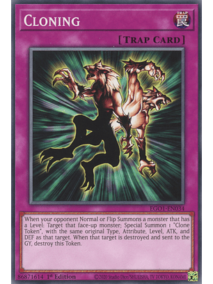 Cloning - EGO1-EN034 - Common