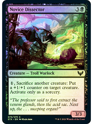 Novice Dissector - STX - C 