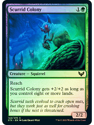 Scurrid Colony - STX - C