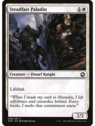 Steadfast Paladin - AFR - C 
