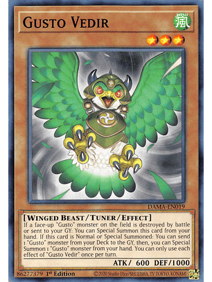 Gusto Vedir - DAMA-EN019 - Common