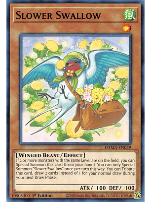 Slower Swallow - DAMA-EN029 - Common 