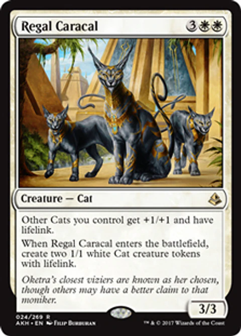 Regal Caracal - AKH