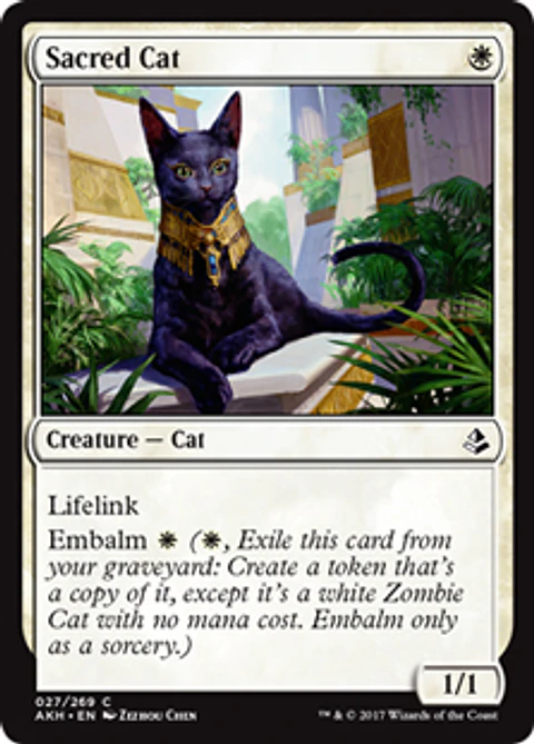 Sacred Cat - AKH - C