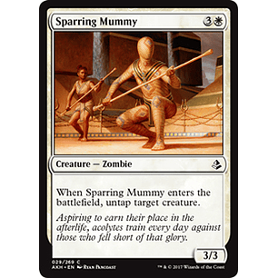 Sparring Mummy - AKH