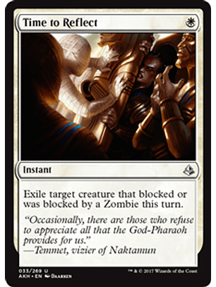 Time to Reflect - AKH