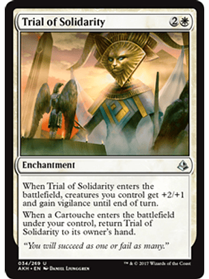 Trial of Solidarity - AKH