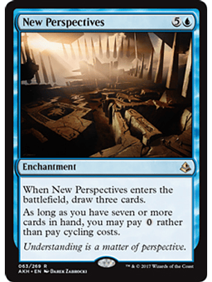 New Perspectives - AKH