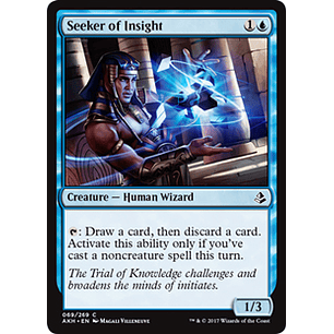 Seeker of Insight - AKH