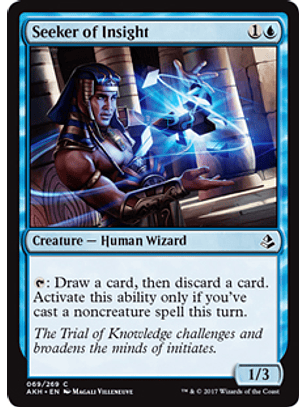 Seeker of Insight - AKH
