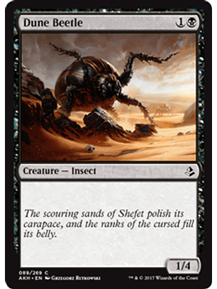 Dune Beetle - AKH - C