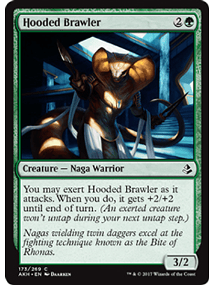 Hooded Brawler - AKH - C