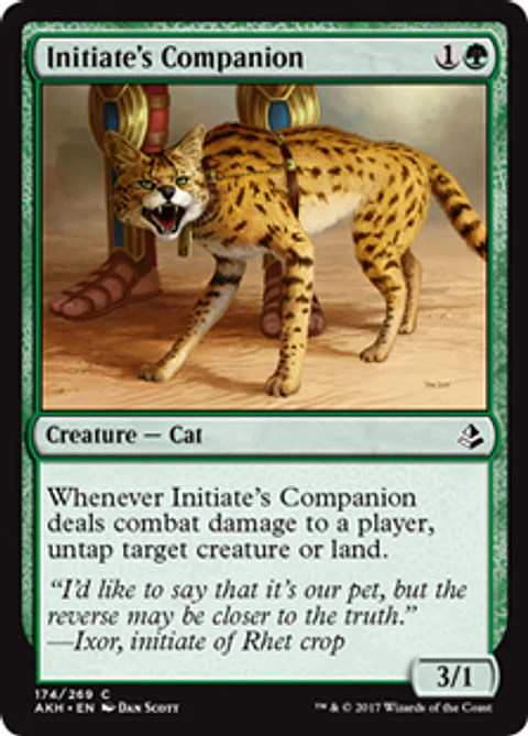 Initiate's Companion - AKH