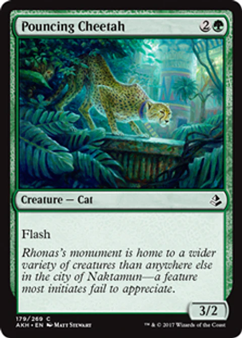 Pouncing Cheetah - AKH