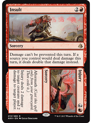 Insult // Injury - AKH