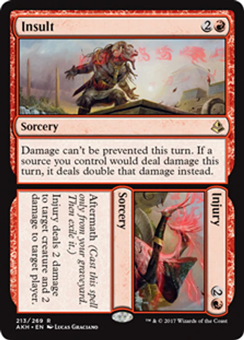 Insult // Injury - AKH