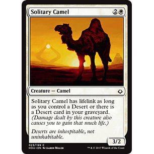 Solitary Camel - HOU - C 