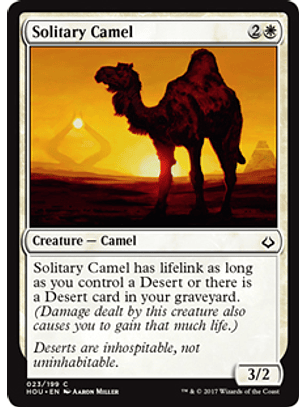 Solitary Camel - HOU - C 