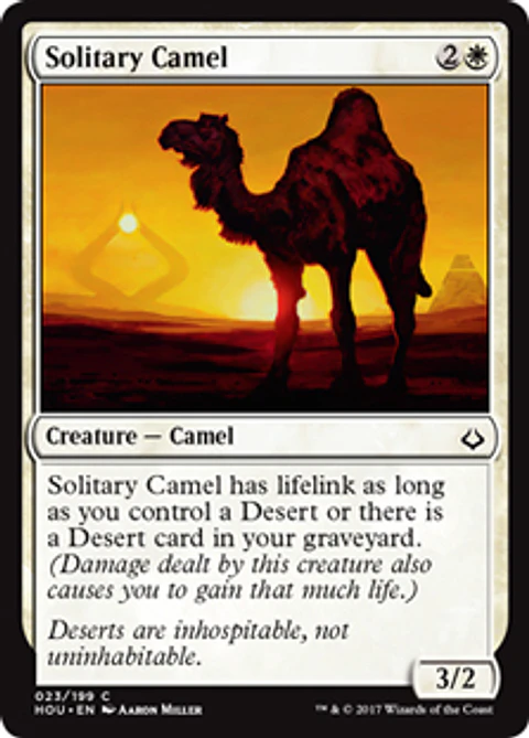 Solitary Camel - HOU - C 