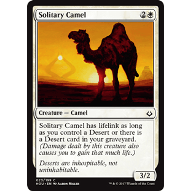 Solitary Camel - HOU - C 