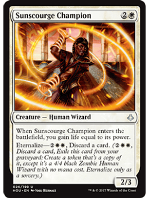 Sunscourge Champion - HOU