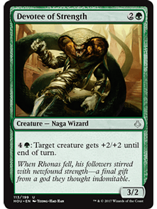 Devotee of Strength - HOU