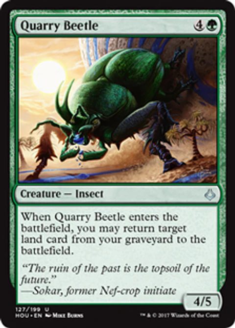 Quarry Beetle - HOU