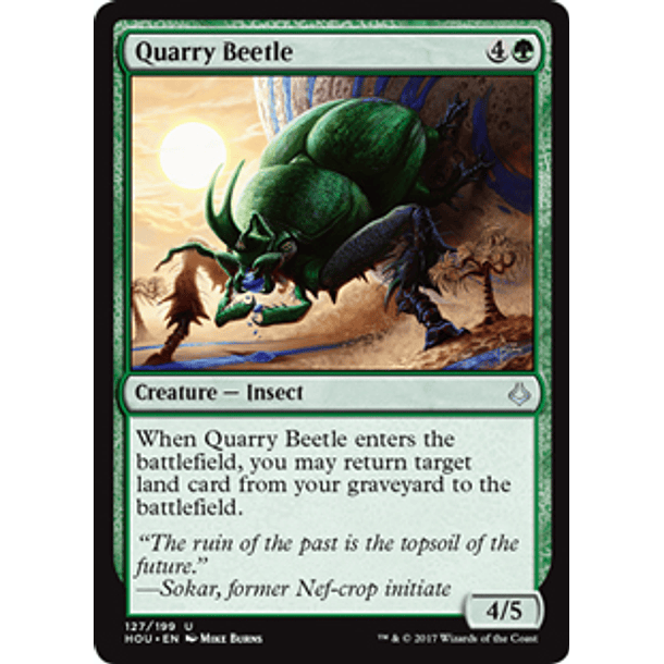 Quarry Beetle - HOU