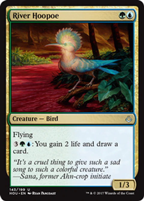 River Hoopoe - HOU