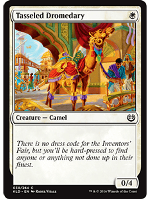 Tasseled Dromedary - KLD