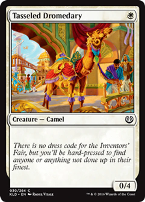 Tasseled Dromedary - KLD