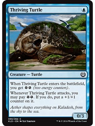 Thriving Turtle - KLD
