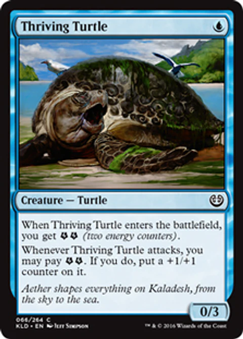 Thriving Turtle - KLD