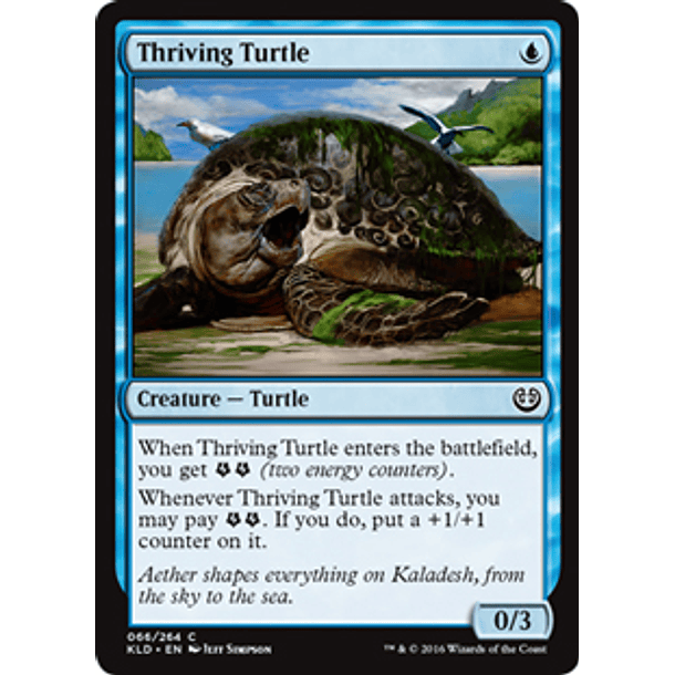 Thriving Turtle - KLD