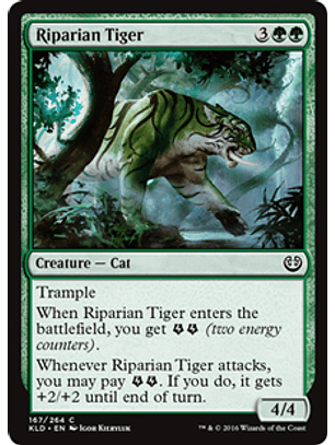 Riparian Tiger - KLD