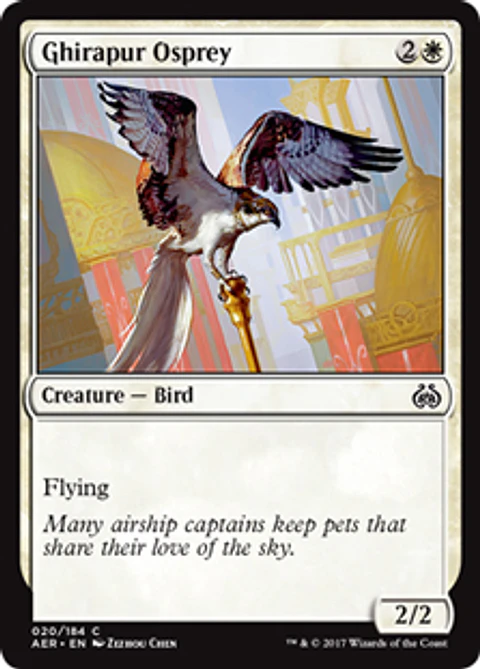 Ghirapur Osprey - AER