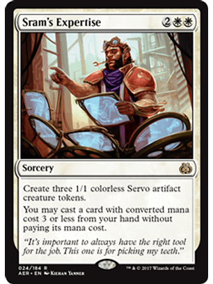 Sram's Expertise - AER