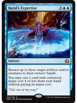 Baral's Expertise - AER