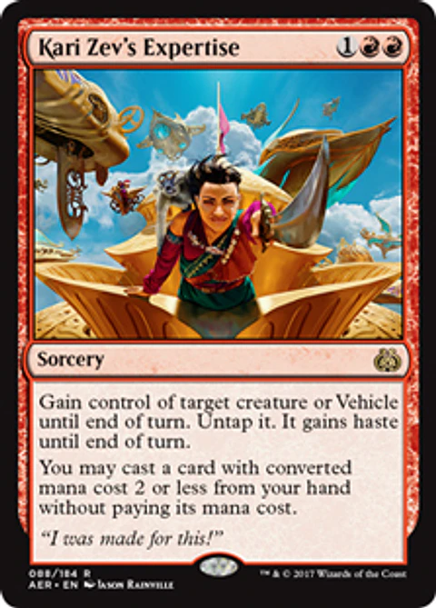 Kari Zev's Expertise - AER