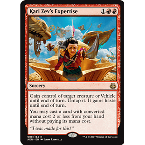 Kari Zev's Expertise - AER