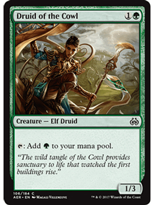 Druid of the Crowl - AER