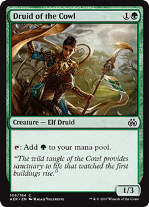 Druid of the Crowl - AER