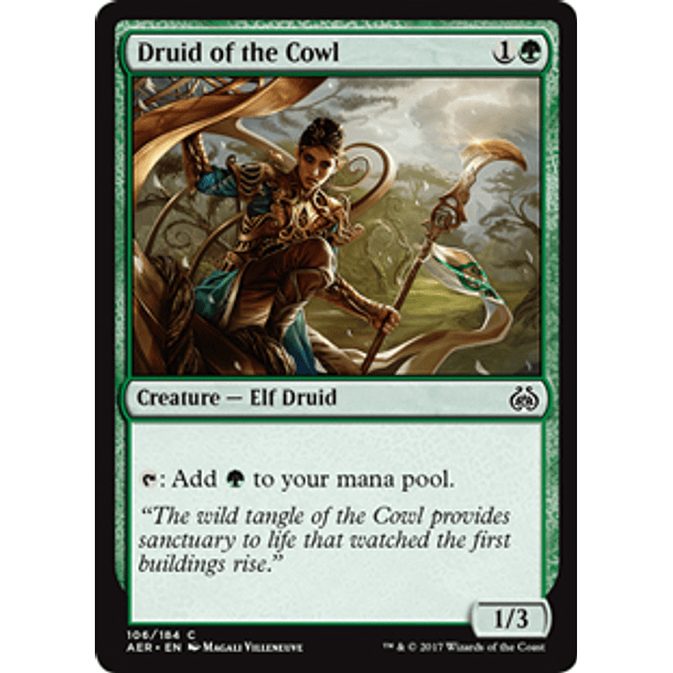Druid of the Crowl - AER