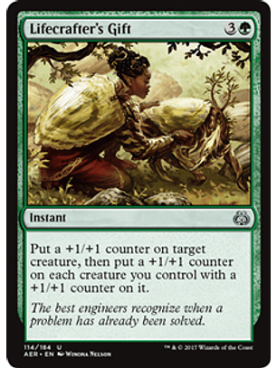 Lifecrafter's Gift - AER