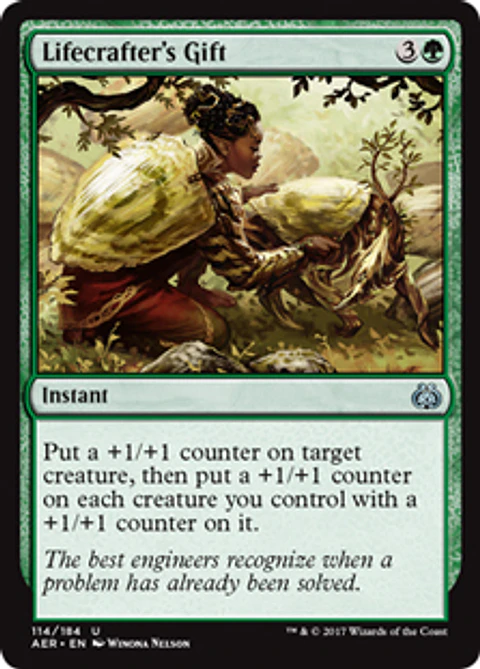Lifecrafter's Gift - AER