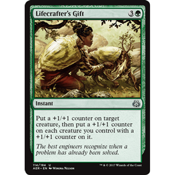 Lifecrafter's Gift - AER